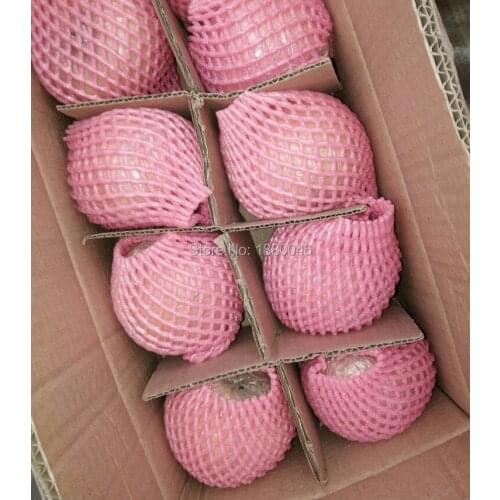 2019 Brand New Rose Red EPE Foam mesh for Apple/Peach sleeve net Thick fruit foam sleeve net packing Eco-friendly material