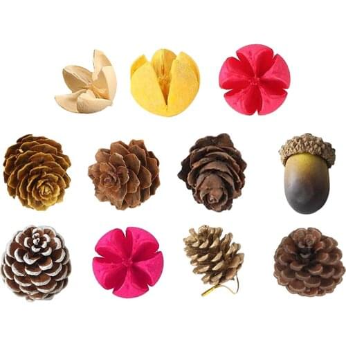 Natural Pine Cones/ Pistachio/ Chestnut Props DIY Crafts for Party Ornaments Autumn Decor Display Wedding
