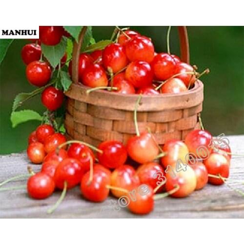 Diamond Embroidery 5D DIY Diamond Painting Fruit cherries Diamond Painting Cross Stitch Rhinestone Decoration BAC052
