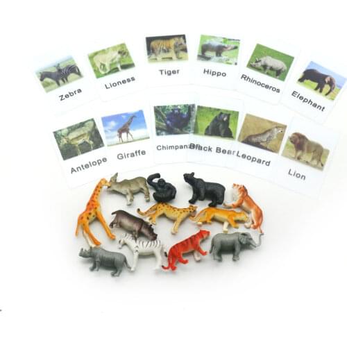 Montessori Language Material Cards PVC Africa Animal Matching Cards Educational Toys For Children Juguetes Motnessori YE2264H