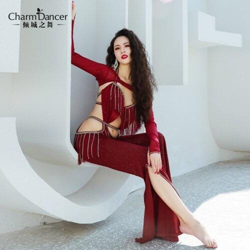 2021 NEW Professional Performance Dancewear Outfit Women Brand High Grade Bellydance Costumes YC058