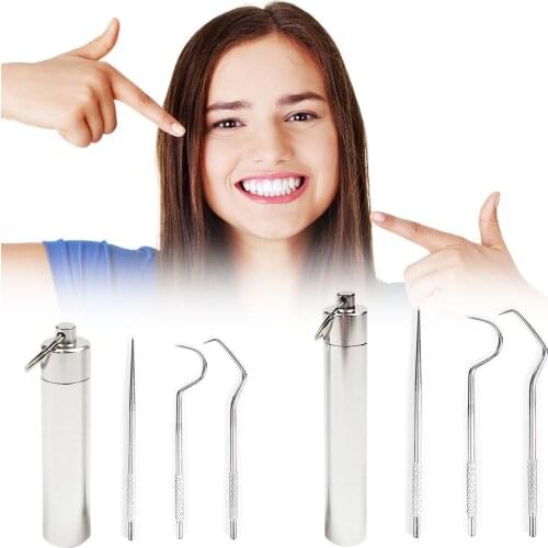 Portable Toothpicks Metal Flossing Tool Set Oral Teeth Cleaning Holder Outdoor Household Travel Seal Storage Box in stock