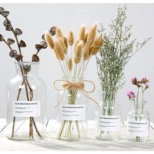 48h 125ml/250ml/500ml/1000ml Glass Vase Home Decoration Flower Vase Nordic Decoration Dried Flower Hydroponic Small Brown Bottle
