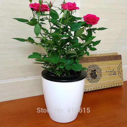 Automatic Self Watering Flower Pots Lazy Planter Bonsai Round Pots Put In Floor Irrigation for Home Office Garden Desk Decor