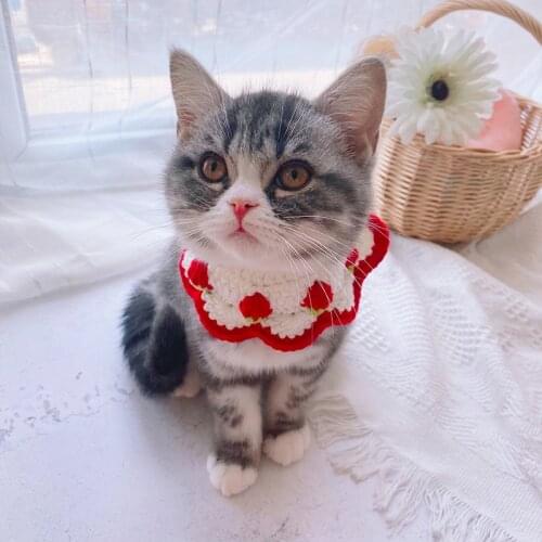 New Colorful Round Plush Ball Collars for Cats Handmade Knitted Pink Dog Bandana Bows Cute Pet Necklace Scarf Kitten Accessories