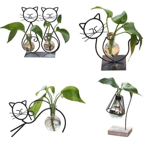 Home Decor Glass Vase Home Decor Zakaka Cute Cat Micro-landscape Hydroponic Bottle Office Decortransparent Hydroponic Vase