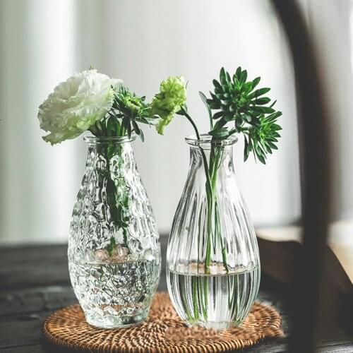 Vintage Transparent Glass Vases Flower Pot Basket Bottles Decoration Home Nordic Dried Transparent Hydroponic Small Bottles