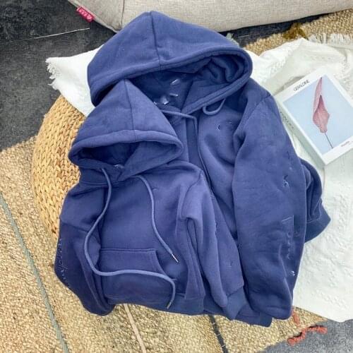 Embroidered Plush hooded parent-child sweater autumn and winter Korean family dress