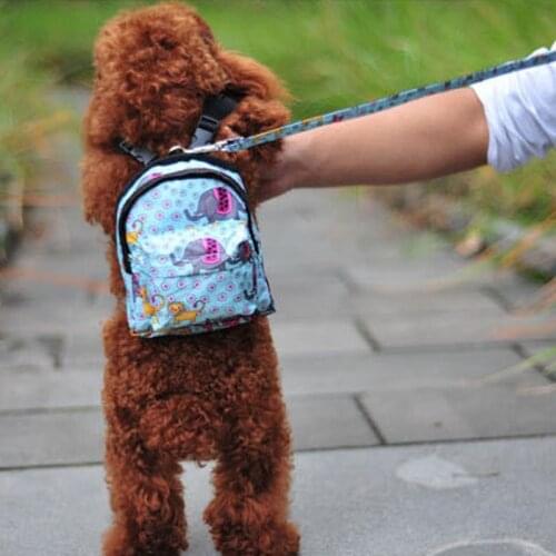 Pet Dog Canvas Backpack Dog Cat Printed Bag with Harness Leash Portable School Bag Cartoon Multifunction Backpack Pet Supplies