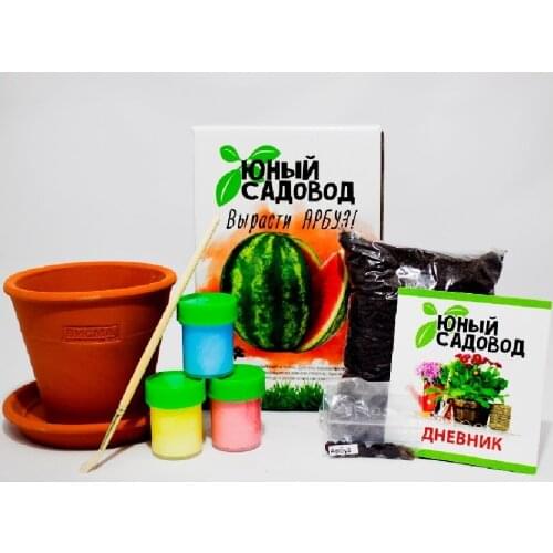 Развивающие игрушки MaxBoom China At AliExpress