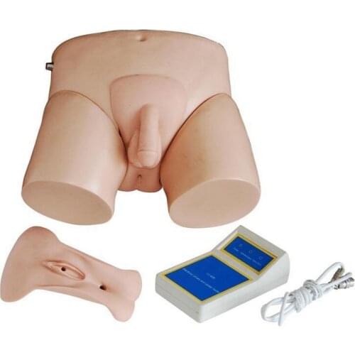 Electronic Urinary Model for Medical Science Teaching