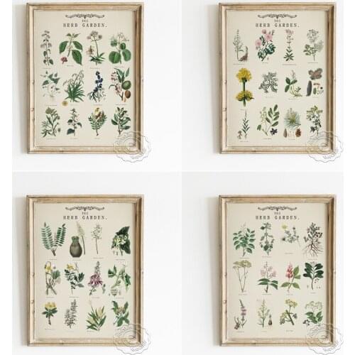 Herb Garden Vintage Art Poster, Flower Illustration Wall Picture, Botany Canvas Painting, Botanist Enthusiast Education Wall Art