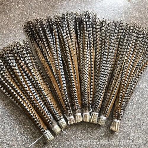 The New 10-100pcs/lot Natural Pheasant Feathers 32-72 Inch / 80-180 CM Dancers Christmas Diy Craft DIY Decoration Plume