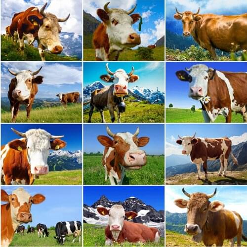 Evershine 5D DIY Diamond Painting Cow New Arrival Diamond Embroidery Cattle Sale Cross Stitch Animals Mosaic Art Home Decoration