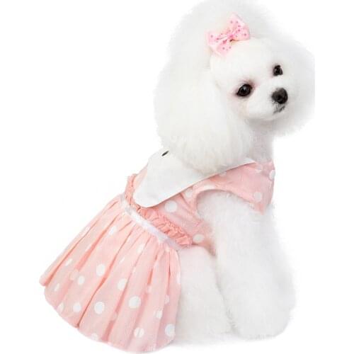 Teddy dog dress Zichun summer pet dress new cat skirt