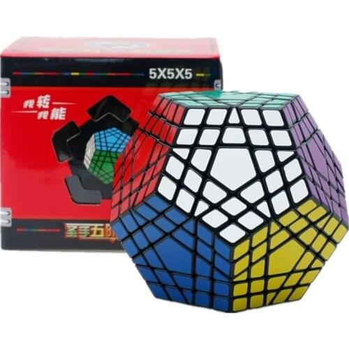 Neo ShengShou Megaminxeds 5x5x5 Magic Cube Dodecahedron 5x5 Speed Puzzle Gift Educational Games Toys for Children Cubo Magico