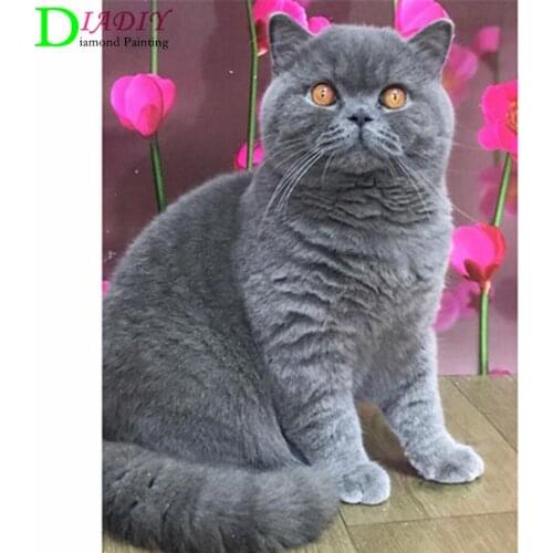 Cat DIY 5D Diamond Painting Full Round Rhinestones Animal Diamond Embroidery Cross Stitch Mosaic Home Decor