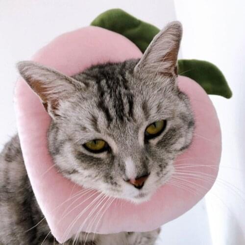 Cat Collars Cotton Lightweight Washable Anti-scratch Anti-bite Pet Cat Dog Circle Cone Cat Protective Neck Recovery Surgery Pet