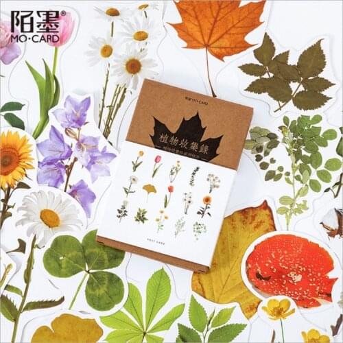 30Pcs/lot Cute Plants collected Postcard Greeting Card Envelope Gift Greeting Card/Wish Card/ New Year gifts