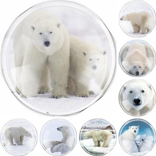 New Handmade 6 Size Glass Cute Polar bear Flatback Camo Cabochon Domed DIY Jewelry Charm Photo Pendant Setting