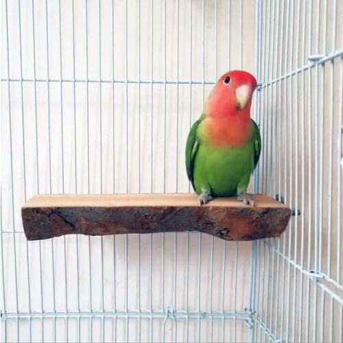 Parrot Playstands Bite Toys Bird Swing Climbing Hanging Ladder Bridge Wood Cockatiel Playground Bird Perches Apple wood 2 Sizes