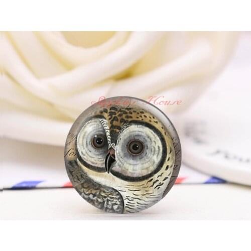 Handmade Round Owl photo glass Cabochons, Jewelry Finding Cameo Pendant Settings, (F391-15515)
