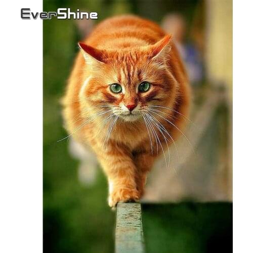 EverShine 5D Diamond Painting Cat Full Square Cross Stitch Handwork Art Diamond Embroidery Sale Animals Bead Picture Kits