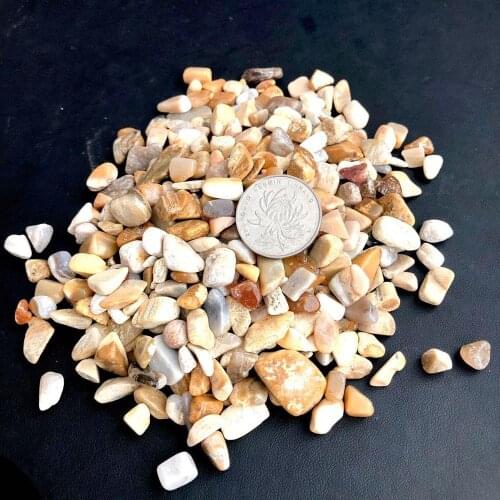 100g Natural Stone Chrysanthemum Stone Coral Jade Crystal Quartz Mineral Specimen Rock Chip Gravel Rough Raw Energy Decoration