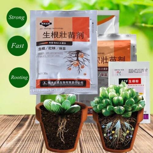 2pc Extra Fast plant rooting powder flowers trees Transplanting succulents bonsai Seedling growth Improve hormones fertilizer