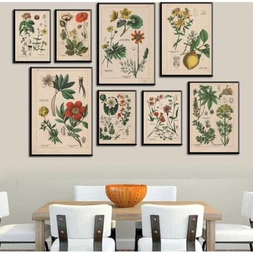 Vintage Botanical Herbs Posters and Prints Home Wall Decor , Antique Plant Botany Wall Art Painting Pictures Kraft paper poster