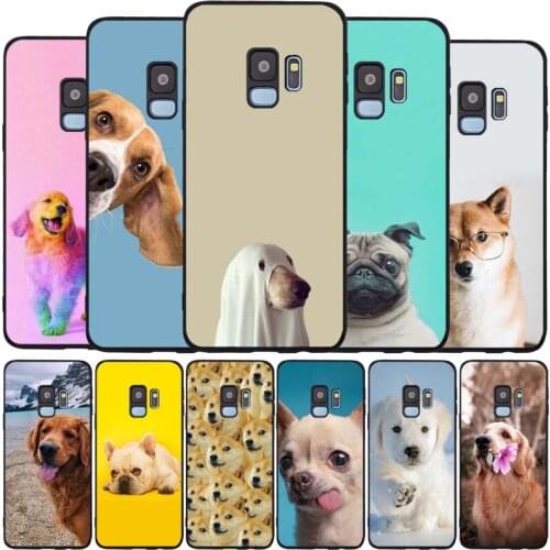 Funny animal dog black Soft phone Case For Samsung S20 S10 S9 S8 S7 edge Plus Lite Note 8 9 10 A6 A7 A8 A9 2018 Cover