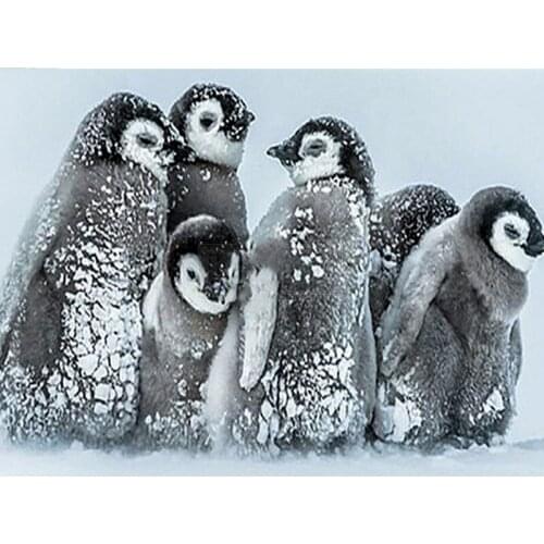 New DIY Diamond Painting penguin 5D DIY Full Square Drill Animal Diamond Embroidery Cross Stitch Kit Home Decoration art G520