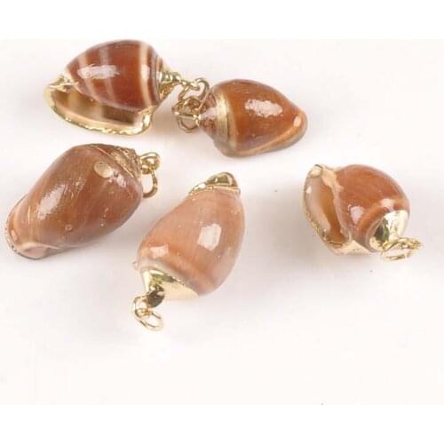 5pcs Natural Brown Seashells For DIY PendantGold Plated Shells Craft Handmade Charms Home Decor Accessories 15-20mm tr0266