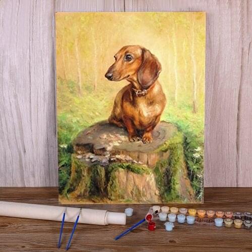 Animal Dog Dachshund DIY Paint By Numbers Complete Kit Oil Paints 40*50 Boards By Numbers Decorative Paintings For Handiwork