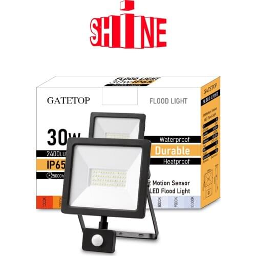 LED Floodlight 30W Motion Sensor Induction Style IP65 Cold White Light 6000K Human Body Induction Water Proof Lamp