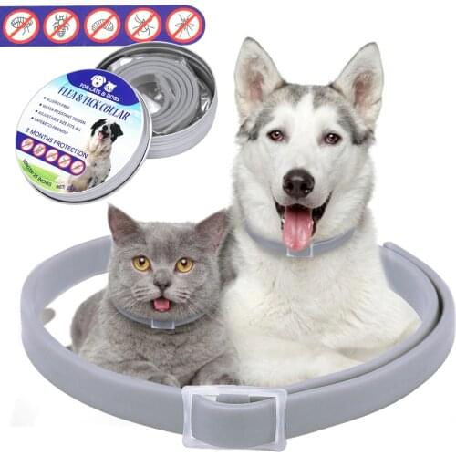 Dog Flea Collar Pet Cat Anti Lice Pest Mosquitoes Collars Kill Lice Parasite Deworming for Small Medium Pets