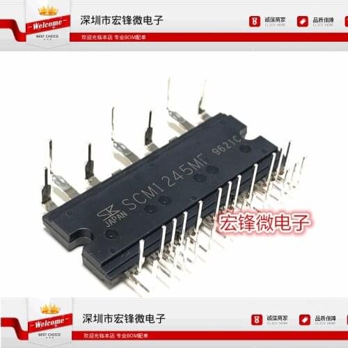 100% Original New In Stock SCM1245MF IPM