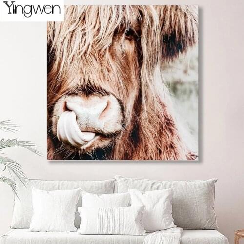 5D Diy Diamond Painting Nordic Highland Cow Full Diamond Embroidery Modern Cattle Animal Art Wall Pictures Rhinestone Home Decor