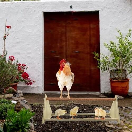 Large parrot stand, pet chicken triangle frosted big stand, big cock hen stand, pet accessories