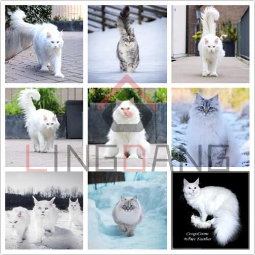 Diamond Embroidery Pet Maine Coon Cat Snow Scene 5D DIY Diamond Painting Full Drill Cross Stitch Mosaic Animal Big Cat Art Decor
