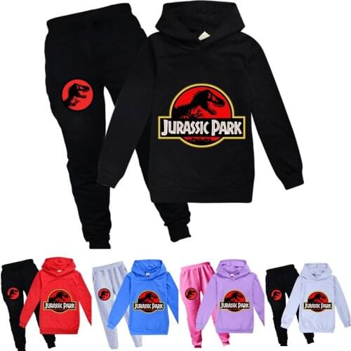 2021 Toddler Boys Clothing Set Spring Autumn Fashion Hoodies Tracksuit Jurassic Park Hooded T-Shirt Suit Children Kid Girl suit
