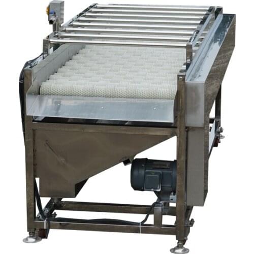 Industrial Automatic plum cherry peach berry washer onion carrot chili pepper vegetable Brush roller washing machine CFR BY SEA