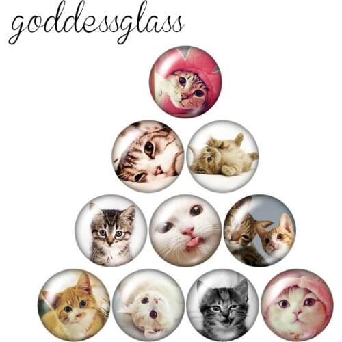 Lovely cats cartoon cats 10pcs mixed 12mm/18mm/20mm/25mm Round photo glass cabochon demo flat back Making findings