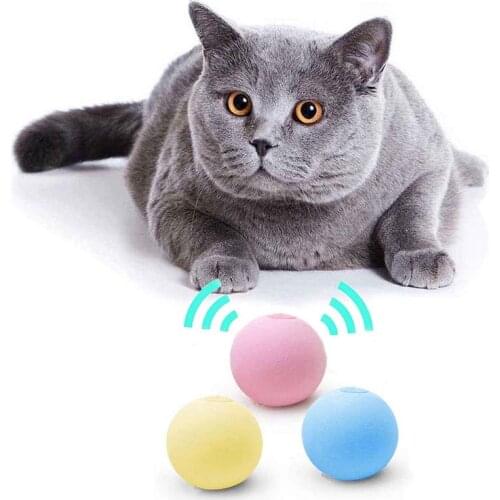 Smart Squeak Cat Fidget Toys For Cats Accessories Interactive Catnip Ball Cat Supplies Dog Playing Ball Pet Squeaky Globbles Toy