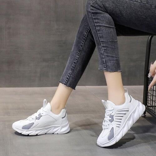 Wolf Who Skateboards