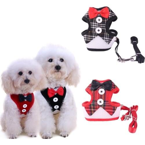 Pet Dog Cat Harness Leash Bow Pet Vest Small Medium Dog Cat Comfortable Chest Strap Safety Traction Rope Durable Pet Supplies