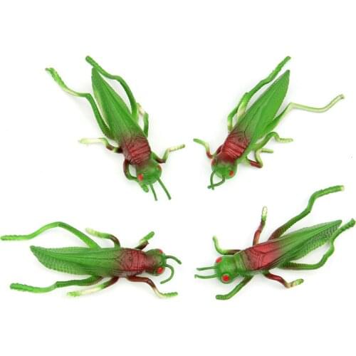 4PCS/ A LOT Locust Grasshopper Insect Model Toys Soft TPR Material Tricky Early AIDS Film Props