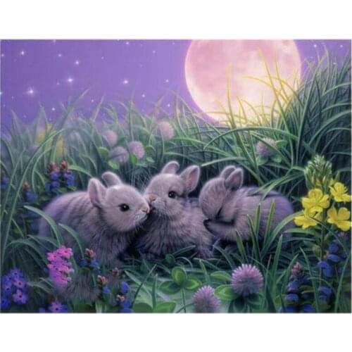 Full Round Fashion Rabbit Artificial Rhinestone Cross Stitch Kit Diamond Painting Resin Handmade Craft Home Decoration FH808