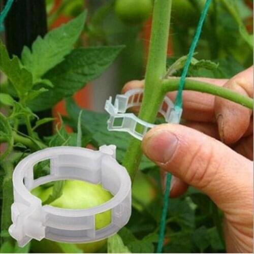 50/100pcs Plastic Plant Clips Reusable Protection Planting Grafting Fixing Tool Outdoor Gardening Supplies For Vegetable Tomato