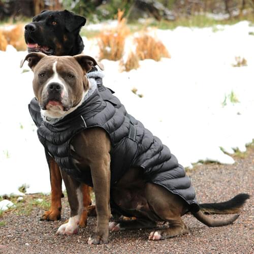 Soft Large Dog Clothes Jacket Waterproof Outdoor Pet Clothing Warm Reflective Dog Clothes Overall for Medium Large Dogs Bulldog